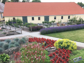 Отель Birkende Bed and Breakfast  Langeskov